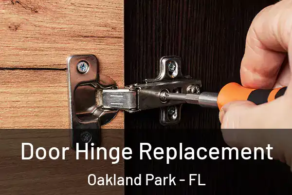 Door Hinge Replacement Oakland Park - FL